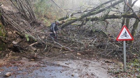 As Fragas do Eume. Carretera cortada por desprendimientos a causa del temporal
