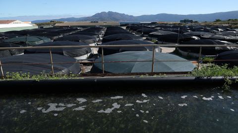 Tanques con los montes de Carnota al fondo