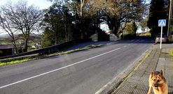 La zona m�s peligrosa de la v�a est� situada junto al cruce de la calle Chamber�n.