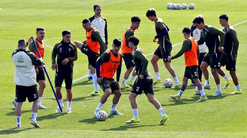 El Celta retoma la liga este domingo ante el Valencia.