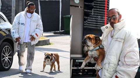El piloto Lewis Hamilton acompaado de su mejor amigo Roscoe