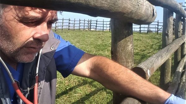 El veterinario Carlos Riveira, realizando trabajos de saneamiento