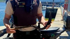 Un agente de Guarda Rural muestra el fouci�o decomisado a un furtivo en un operativo llevado a cabo este s�bado en Santa Mari�a, Brantuas.
