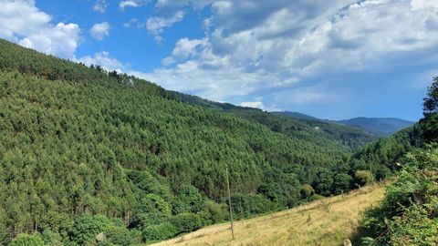 Vista de una zona de monte en la parroquia de A Órrea (Riotorto)