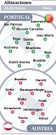 Alineaciones probables Portugal-Austria