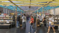 Imaxe da Semana do Libro de Compostela, Selic