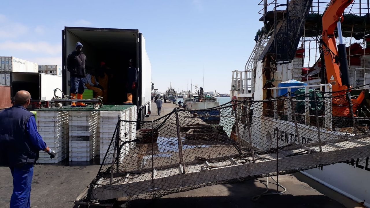 El palangre de fondo deja Mauritania tras colapsar la pesquería de palometa