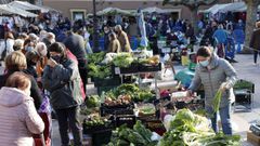 Vista del mercado de El Font�n, en Oviedo