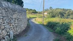 V�a de Mens en la que se actuar� 