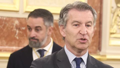 El presidente de Vox, Santiago Abascal, y el presidente del PP, Alberto N��ez Feijoo, durante la visita del papa Le�n XIV al Congreso el 8 de junio del 2026