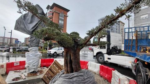 Rotonda junto a Bala�dos con las obras