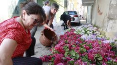 Vecinas preparan flores para colocar en las calles.