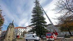 Iluminaci�n navide�a 2020 en Pontevedra, cuando se instalaron luces en un �rbol en la Alameda