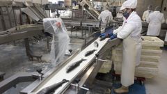 Trabajadores en una piscifactor�a