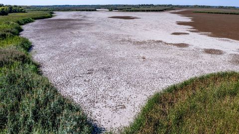 La sequ�a en el lago Tisza (Hungr�a)