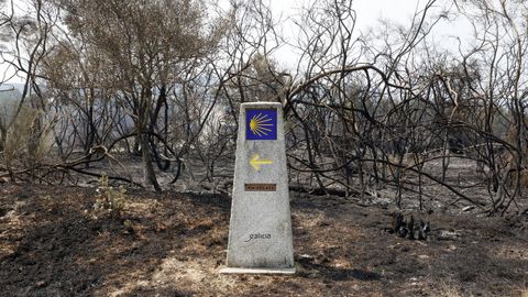 Camino de Santiago calcinado a su paso por Erosa.