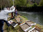 Niños y mayores tiraron tres mil bolas al Sar.
