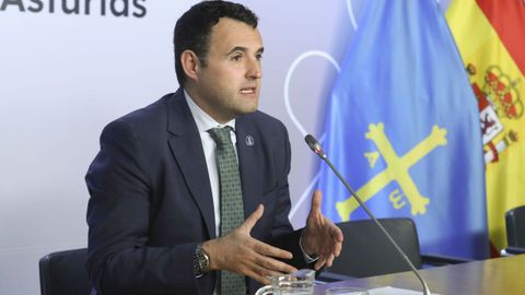 El portavoz del Gobierno del Principado, Guillermo Pel�ez