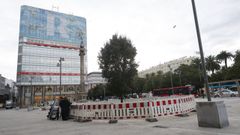 Algunos paseantes se pararon a mirar el nuevo ejemplar que sustituye al metrosidero del Obelisco