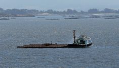 El car�cter ecol�gico del cultivo del mejill�n es uno de sus valores a�adidos. 