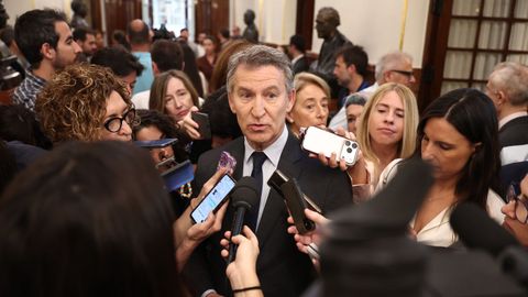 El presidente del PP, Alberto N��ez Feijoo.