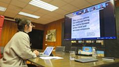 La concejala de Pontevedra Anabel Gul�as interviene en una ponencia de la cumbre clim�tica de Glasgow