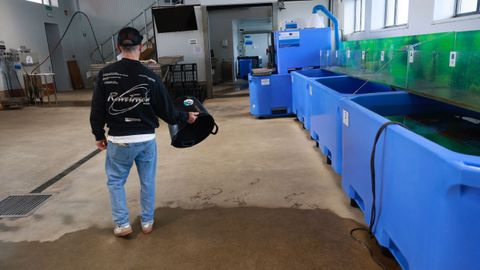 La lonja de Ferrol, en foto de hace unas semanas, con nula actividad por el duro invierno