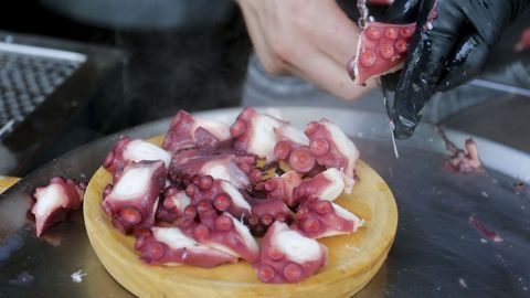 Imagen de una racin de pulpo