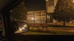 Los jabal�es en la Losa de Oviedo