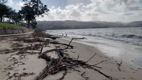 Ramas y otros residuos en la mallante en la playa de Cabeceira, en Poio, junto al banco marisquero de O Ameixal