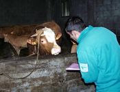 Un veterinario en la granja de Rial de Cuns