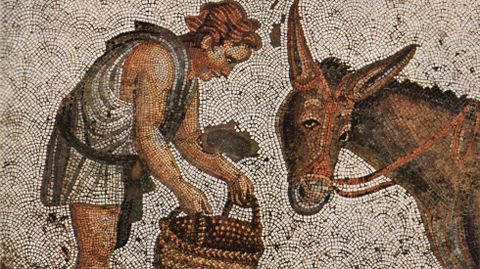 Joven alimentando a un asno. Mosaico bizantino del siglo V, que formó parte del pavimento del Gran Palacio de Constantinopla. Un metro cuadrado contiene unas 40.000 teselas (Museo de Mosaicos de Estambul)