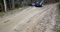 Pista da�ada por corta y retirada de madera en Nois (Foz).