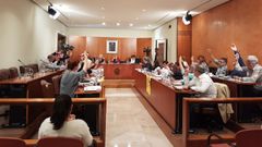 El pleno del Ayuntamiento de Avil�s