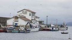 La de Malpica ha sido la lonja que m�s xarda ha vendido en estas jornadas 