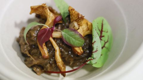 Un guiso de liebre con setas acompa el tinto Manolo Arnoya