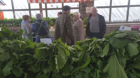En la feria se vendr�an los manojos, de alrededor de un kilo, a tres euros