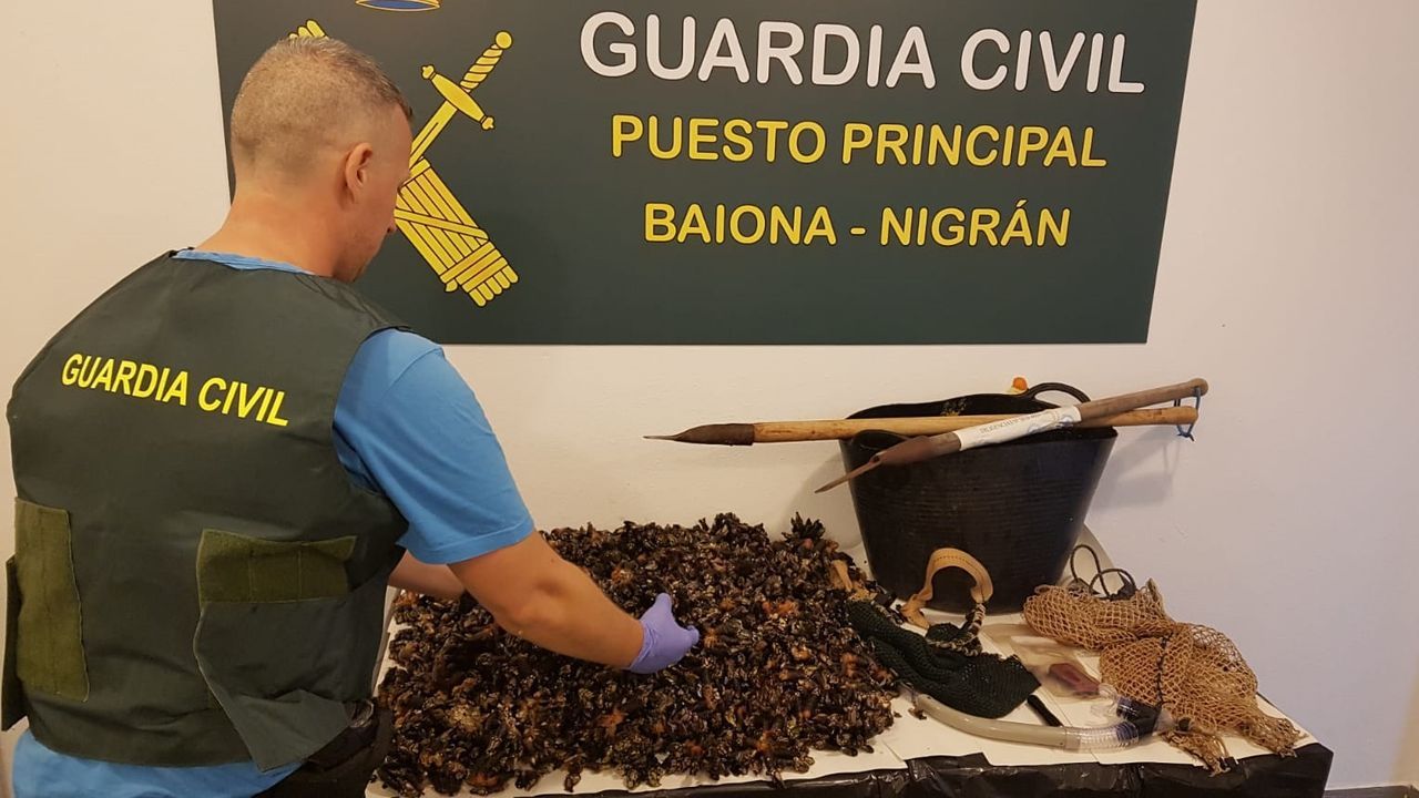 Condenan a dos percebeiros de Baiona a indemnizar a la cofrad