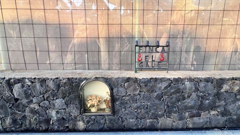 La primera finca con pltanos sobre la lava del volcn