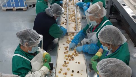 Planta de Cuevas, en el pol�gono ourensano de San Cibrao das Vi�as