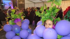 Baile de disfraces del Martes de Carnaval organizado por el Ayuntamiento de O Savi�ao, en una imagen de archivo