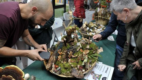 Feira de Fungos e Cogomelos de As Pontes.