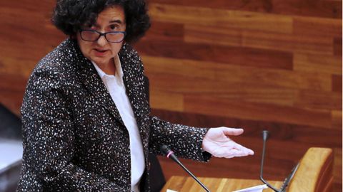 La Consejera de Cultura, Berta Pin, en la Junta General  