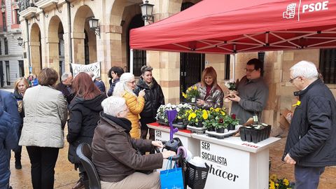 El PSOE reparte plantas en Oviedo para criticar la poltica ambiental del bipartito