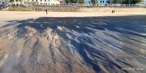 Mancha de carbn en San Lorenzo