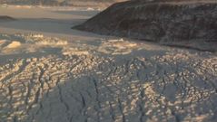 Un ca��n de proporciones descomunales