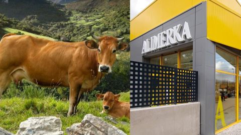 Alimerka es el principal comercializador de IGP Ternera Asturiana