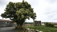 Una panor�mica de la aldea de Fornas, en Rodeiro.
