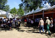 Imagen de la Feira do Vi�o del a�o pasado en A R�a.