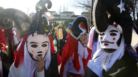 El colegio Julio Camba de Vilanova homenaje� los distintos entroidos de Galicia